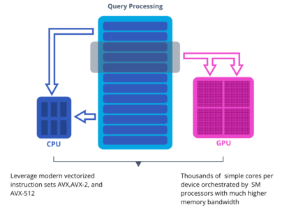 Vectorized Processing